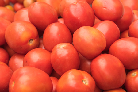 Fresh red tomatoesの写真素材