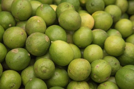 Green Lemon selected focusの写真素材