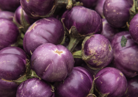 Group of many eggplantsの写真素材