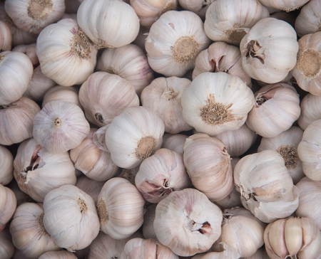 Group of garlicの写真素材