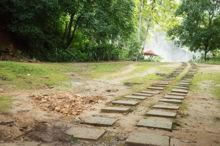 Stone pathway in the gardenの写真素材