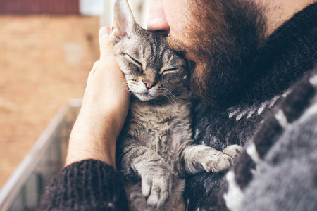 Close-up of beard man in icelandic sweater who is holding and kissing his cute purring Devon Rex cat. Muzzle of a cat and a man's face. Love cats and humans. Relationship, weasel.の写真素材