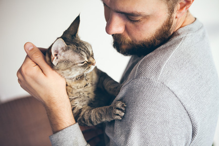 Caring man is holding a Devon Rex -tabby cat, both looking at each other with affection.の写真素材