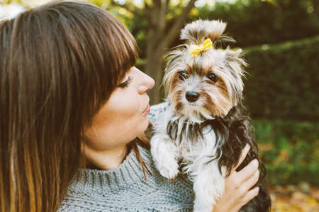Close up portrait of a beautiful woman with rare little size purebred dog - Biewer Terrier. Girl is walking in the park with her cute puppy. love and happiness expression. Owner with cute puppyの写真素材