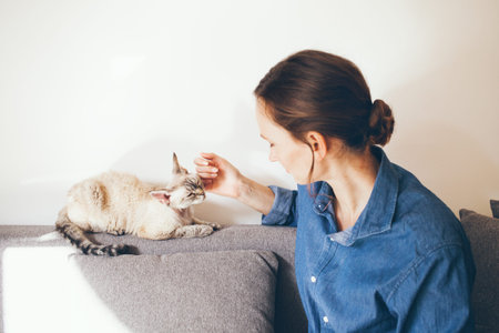 Portrait of a woman in blue jeans shirt is cuddling Devon Rex cat. Cat is feeling happy and relaxed...