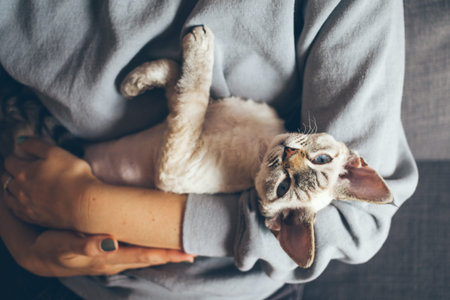 Happy young female with her cat. Home pets. Woman is holding and hugging her cute curious Devon Rex...