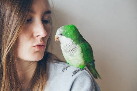 Close-up of friendly and cute Monk Parakeet. Green  parrot is sitting on woman shoulder. Woman is petting parrot kissing it.の写真素材