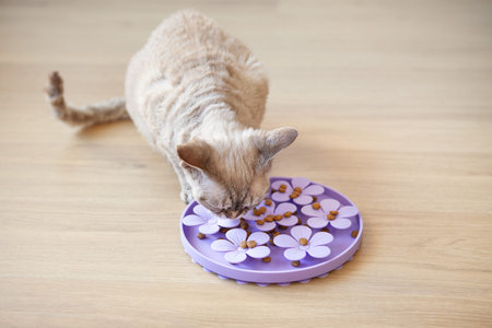 Interactive Cat Toy Slow Feeder- IQ Training Toy, Treat Boredom Dispensing Refillable for domestic...