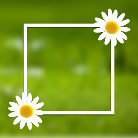White frame with two daisies on a blurred background.Free space for your text. Vector illustrationのイラスト素材