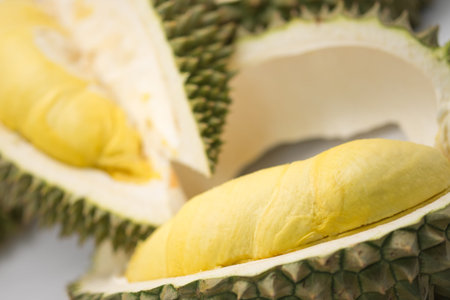 Durian, kind of fruits, Thailandの写真素材