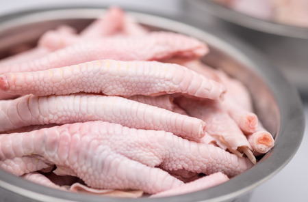 Fresh and raw chicken feet for food preparation backgroundの写真素材