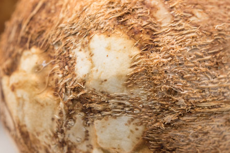 Fresh and raw coconut for food ingredient background