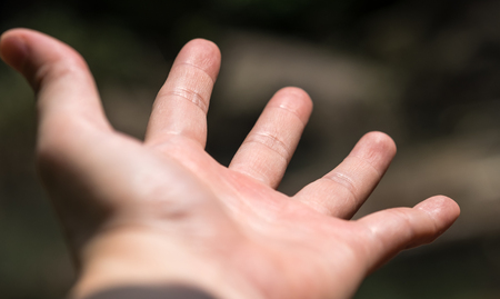 Adult's hands with reaching out gesture for sign and symbol backgroundの写真素材