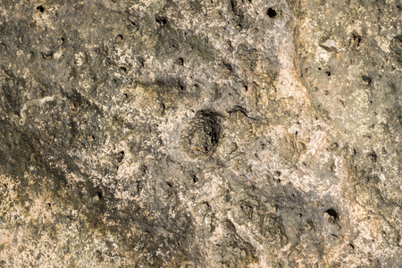 Eroded hard rock with holes for mineral backgroundの写真素材