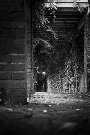 Black and White Hallway shot from close to the groundの写真素材
