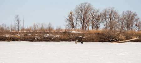 Fishermen drill holes for winter fishingの写真素材