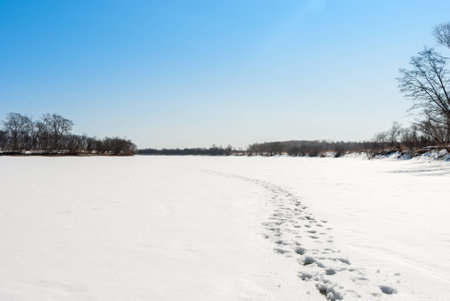 River in winter. Footprints in the snow.の写真素材