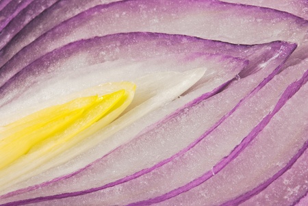 Detail of ripe shallot pieceの写真素材