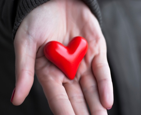 Red heart in female handの写真素材
