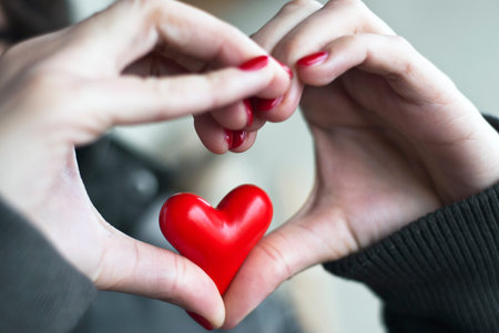 Heart of hands and small heart insideの写真素材