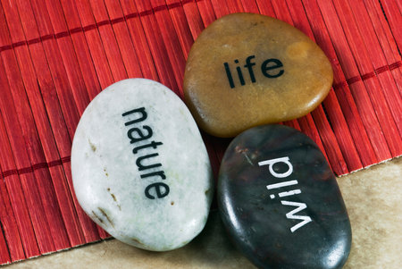 Colored decorative stones on the orange background