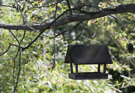 Wooden bird house hanging on the tree.の写真素材