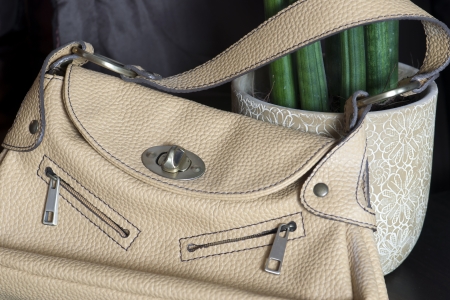 Beige handbag for women with plant in a flower pot.の写真素材