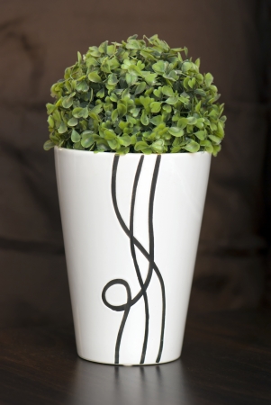 Decorative flower in a narrow and tall ceramic planter.の写真素材