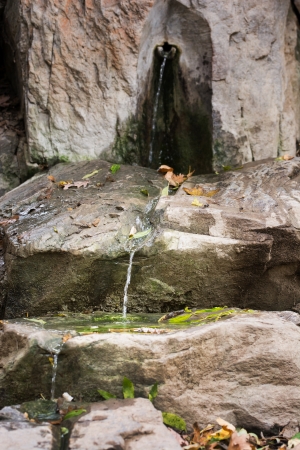 Natural source of drinking water.の写真素材