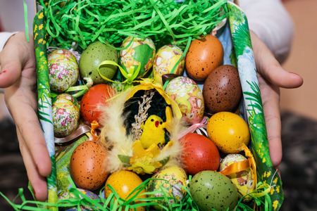 Easter painted eggs and yellow chick in basket.の写真素材