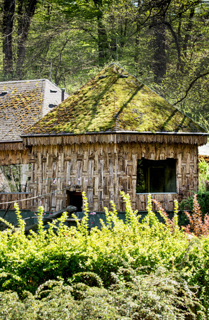 Natural shelter overgrown with moss in forest.の写真素材