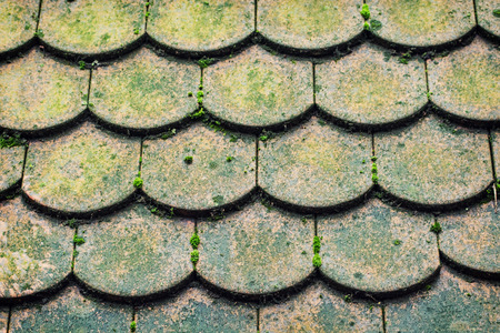 Detail of dirty tiled roof.の写真素材