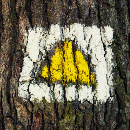 Yellow hiking sign on the tree. Detail photo.の写真素材