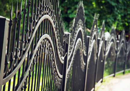 Forged iron fence in the city park. Artistic object.の写真素材