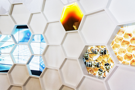 White plastic honeycomb on the exhibition. Symbolic decoration.の写真素材