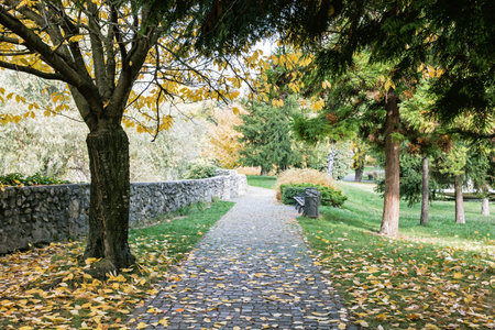 Footpath with benches, stone wall and colorful autumn trees. Seasonal park. Vibrant colors.