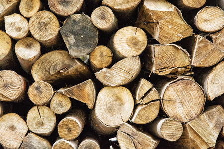 Background of wooden logs. Year rings. Wood industry. Deforestation theme. Woodpile scene.