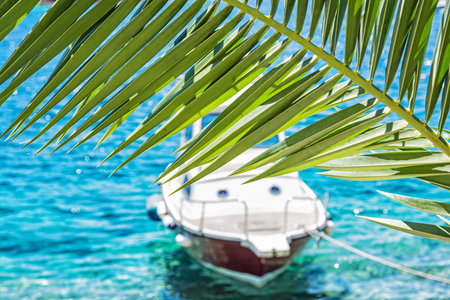Beautiful palm tree and little boat in Maslinica, Solta island, Croatia. Summer vacation destination. Seasonal natural scene.の写真素材