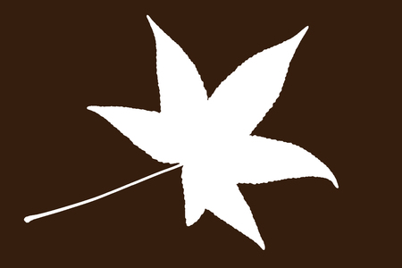 White shape of leaf on the brown background. Symbolic natural object.の写真素材
