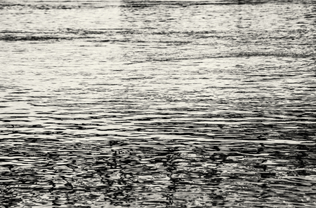 Water surface of Danube river in sunset. Abstract scene. Black and white photo.の写真素材