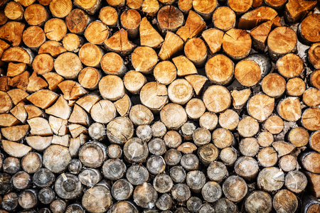 Background of wooden logs. Year rings. Wood industry. Deforestation theme. Woodpile scene.