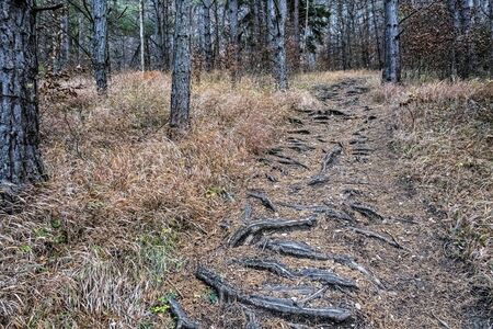 Strazov hill, Strazov Mountains in Slovak republic. Seasonal natural scene.の写真素材