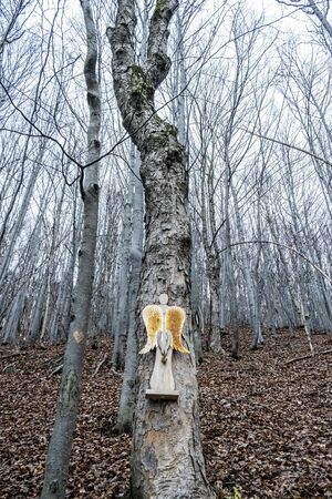 Symbolic wooden angel is hanging on the tree, Strazov hill, Strazov Mountains in Slovak republic. Seasonal natural scene.の写真素材