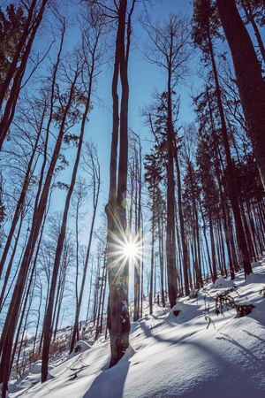 Big Fatra mountains, Slovak republic. Snowy landscape. Seasonal natural scene. Travel destination. Hiking theme.の写真素材