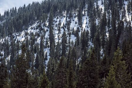 Big Fatra mountains, Slovak republic. Seasonal natural scene. Hiking theme.の写真素材