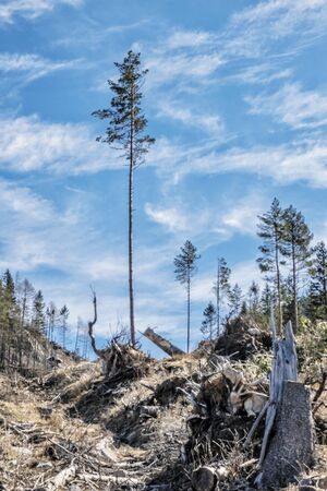 Demanovska valley in National park Low Tatras mountains, Slovak republic. Hiking theme. Seasonal natural scene.の写真素材