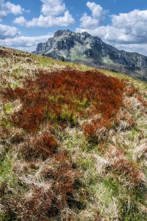 Big Rozsutec hill from Osnica, Little Fatra, Slovak republic. Springtime scene. Beauty in nature. Red blueberry bushes.の写真素材