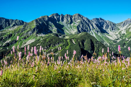 Western Tatras scenery from saddle Zabrat, Slovak republic. Hiking theme. Seasonal natural scene.