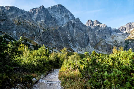 Green tarn valley scenery, High Tatras mountains, Slovakia republic. Seasonal natural scene. Travel destination.の写真素材