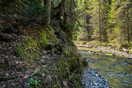 Velky Sokol gorge, Slovak Paradise national park. Seasonal natural scene.の写真素材